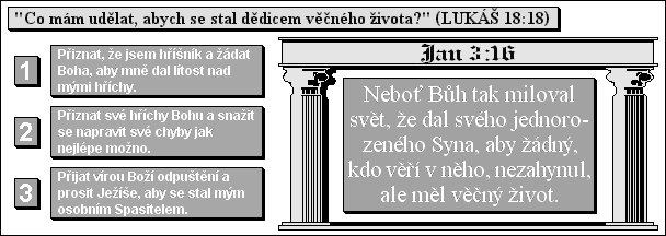 «Co mám udělat, abych se stal dědicem věčného života?» (Lukáš 18:18)