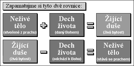 Přirozenost člověka: zapamatujme si tyto dvě rovnice