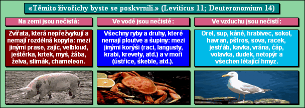 «Těmito živočichy byste se poskvrnili.» (Leviticus 11; Deuteronomium 14)
