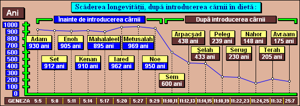 Scăderea longevităţii, după introducerea cărnii în dietă