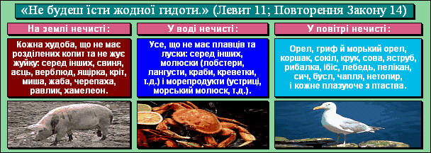 «Не будеш їсти жодної гидоти.» (Левит 11; Повторення Закону 14)
